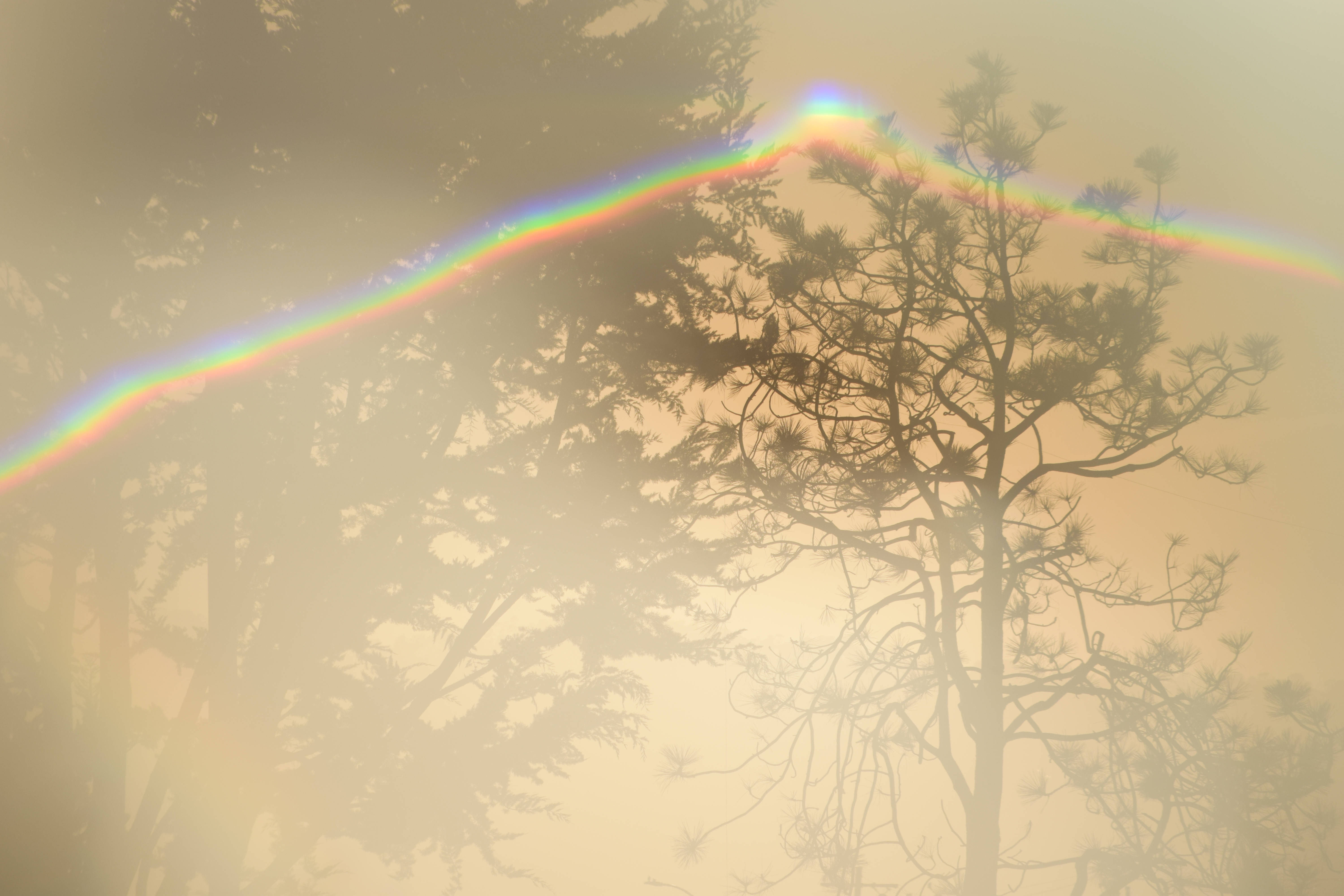 Jose Torres, Seaside CA, 2026